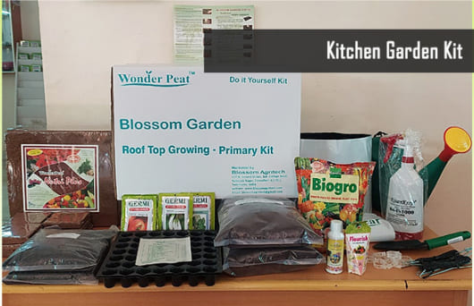 Kitchen Garden Kit Kitchen Garden Kit
