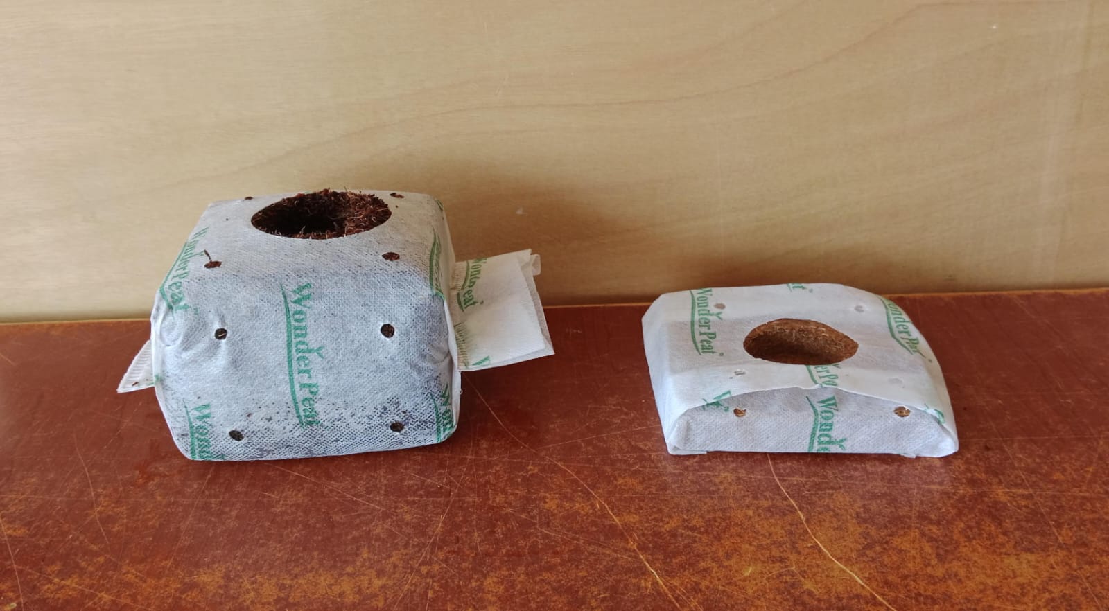 Grow Cubes Grow Cubes