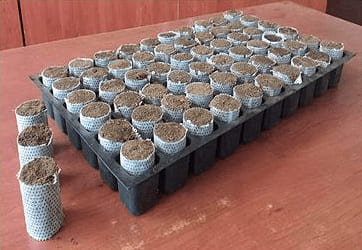 Paper Pots Paper Pots